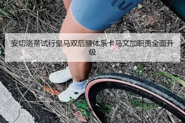 安切洛蒂试行皇马双后腰体系卡马文加职责全面升级
